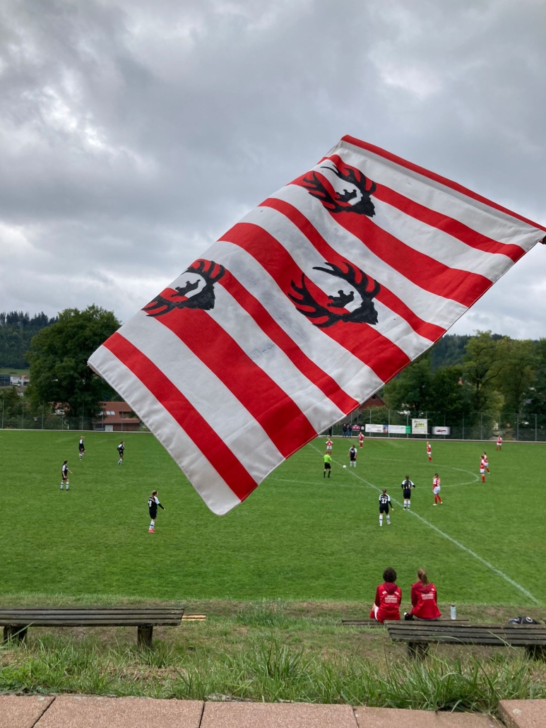 Rot-weiß gestreifte Flagge mit drei VfL Kaltental Hirschen